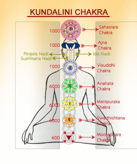 In Hinduism, kundalini is a form of divine feminine energy (or Shakti) believed to be located at the base of the spine, in the muladhara.