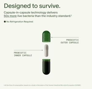 Seed DS-01 Daily Synbiotic - Prebiotic and Probiotic for Women & Men - Digestive Health, Gut Health, Immune Support, Bloating & Constipation Relief.