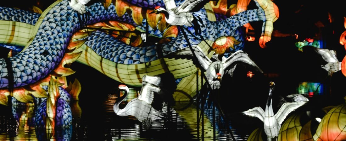 Discover the Magic of Duanwood Reishi Drops Today